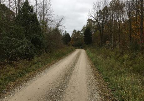 DINO-mite! The 15th Tecumseh Trail Marathon (IN)