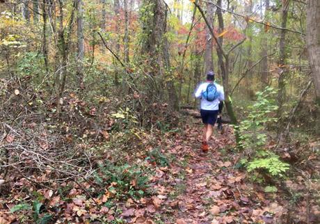 DINO-mite! The 15th Tecumseh Trail Marathon (IN)