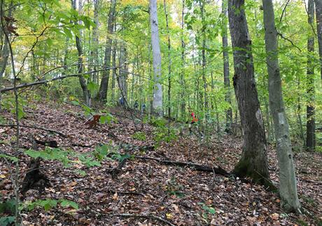 DINO-mite! The 15th Tecumseh Trail Marathon (IN)