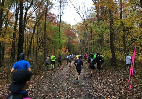 DINO-mite! The 15th Tecumseh Trail Marathon (IN)