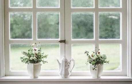 6 Ways to Purify Home Air Naturally