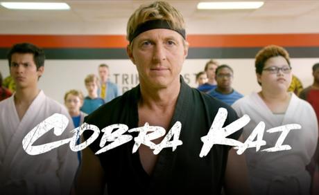 Does “Cobra Kai”  Justify Paying for YouTube Red ?