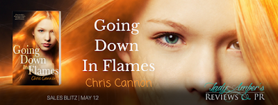 Going Down in Flames by Chris Cannon