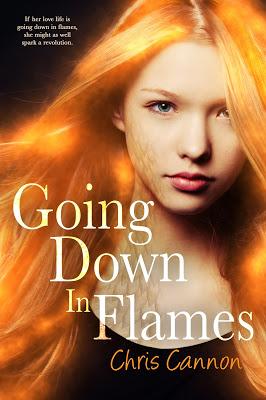 Going Down in Flames by Chris Cannon