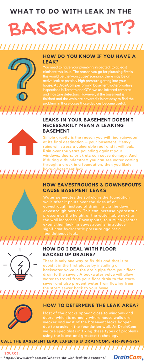 How to Handle Leak in the Basement – Infographic