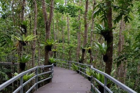 Cebu Safari and Adventure Park