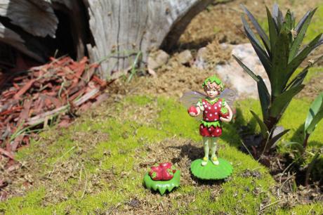 Flower Fairies Secret Garden: Miniature Garden Fairies