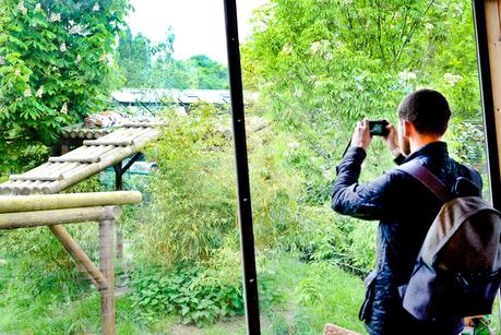 A Saturday Spent At Paradise Wildlife Park + Their NEW World Of Dinosaurs