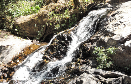 Irupu Falls in Coorg