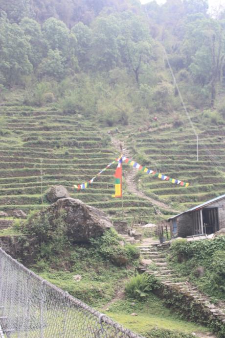 DAILY PHOTO: Terraces