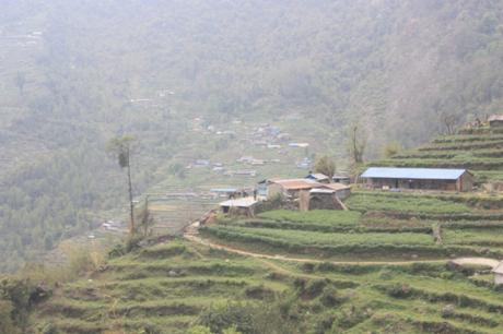 DAILY PHOTO: Terraces