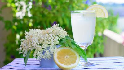 Lemon & Elderflower Cake