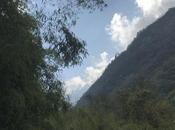 DAILY PHOTO: Find Fishtail