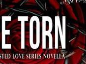 Release: Love Torn Today Bestselling Author Stacy Eaton