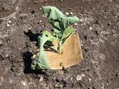 Casualties Nice Find