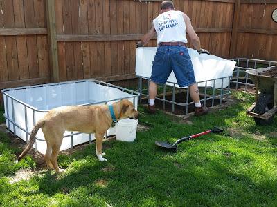 Backyard Chores