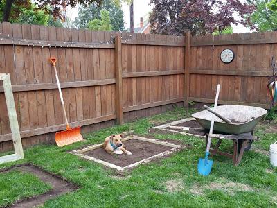 Backyard Chores