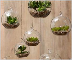 25 ways of including indoor plants into your homes decor