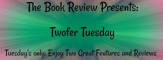 Twofer Tuesday- The Pilot's Wife and The Stars Are Fire- by Anita Shreve- Feature and Review