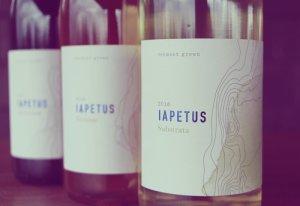 #wineStudio | May 2018 Program | Iapetus Wine + Shelburne Vineyard