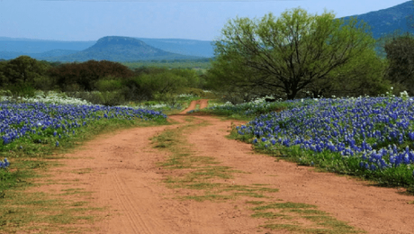 The Rancher’s Secret Child by Brenda Minton