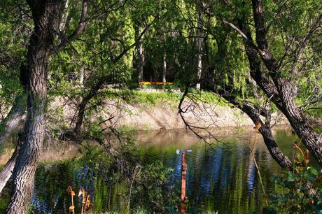 Conservation Easement for Coldwater Farm