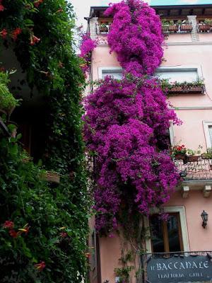 Sicily 13:  Taormina (ii)      [Sky Watch Friday]