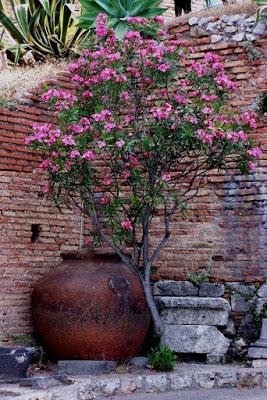 Sicily 13:  Taormina (ii)      [Sky Watch Friday]