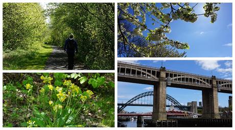 Last day on the Hadrian's Wall Path - walk into Newcastle - Carrie Gault 2018