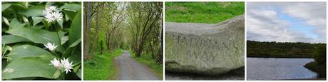 Wylan waggon trail and the Tyne river, day 7c - Carrie Gault 2018