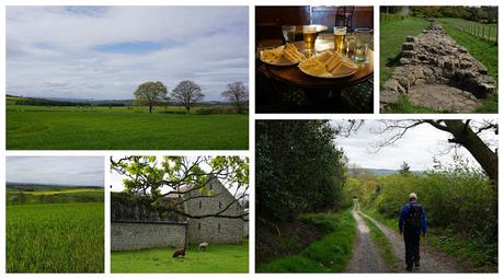 countryside - Heddon-on-the-Wall - downhill to the Tyne - Day7b - Carrie Gault 2018