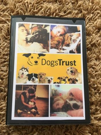 Update | Dogs Trust – Why You Should Give to this Worthy Cause