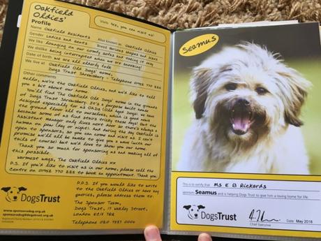 Update | Dogs Trust – Why You Should Give to this Worthy Cause