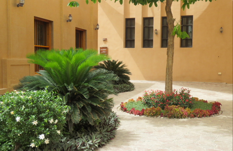 Green patches in Katara Cultural Village