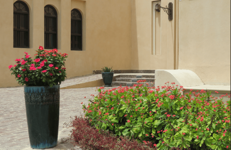 Greenery and flowers in Katara Cultural Village