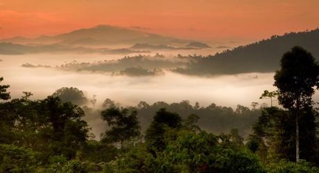 Asia Danum Valley, Sabah, Borneo, Malaysia Enchanting Travels