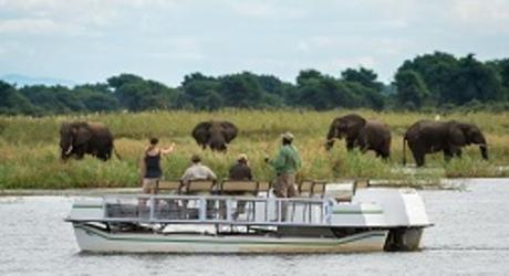 Where the Wild Things are: Wildlife Tour Recommendations