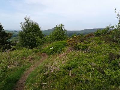 Roseberry Topping