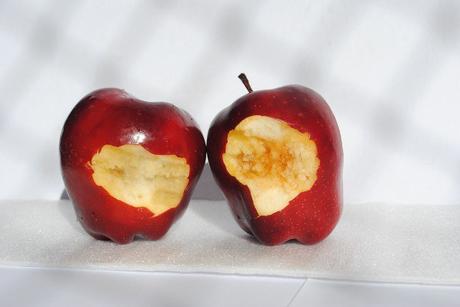 What you need to know about the Nipah Virus