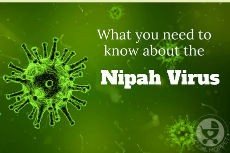 Nipah virus has recently caused an outbreak, creating a health scare. Here's everything you need to know about keeping your family safe.