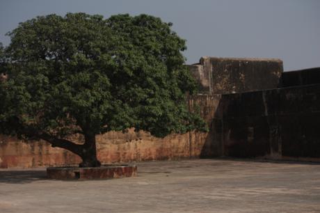 DAILY PHOTO: Scenes from Jaigarh Fort