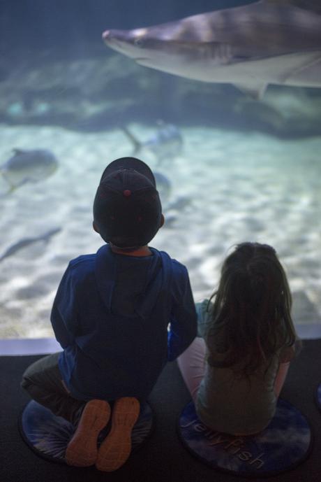 8 things to do with kids in Cleveland