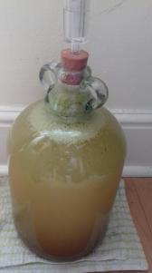 Rhubarb wine part 2