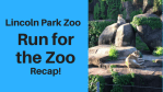 Lincoln Park Zoo, Run for the Zoo Recap!