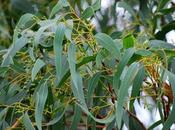 10-Year Rewind Part Going Green