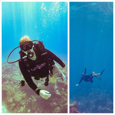 Diving in Roatan: West Bay Divers