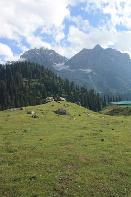 DAILY PHOTO: Sonamarg Meadow