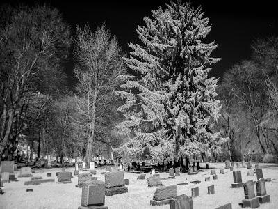 Image City Assignments: Cemetery Shots