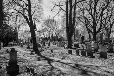 Image City Assignments: Cemetery Shots