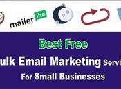 Best Free Bulk Email Marketing Services Small Businesses